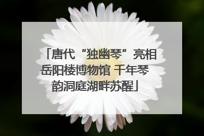唐代“独幽琴”亮相岳阳楼博物馆 千年琴韵洞庭湖畔苏醒