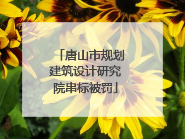唐山市规划建筑设计研究院串标被罚