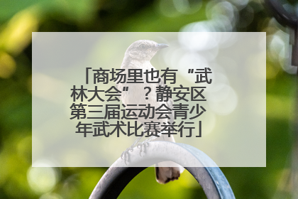 商场里也有“武林大会”？静安区第三届运动会青少年武术比赛举行