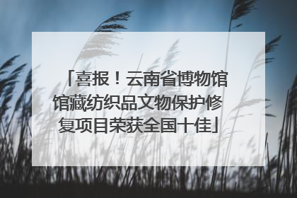 喜报！云南省博物馆馆藏纺织品文物保护修复项目荣获全国十佳