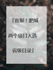 喜报！肥城两个项目入选省级目录