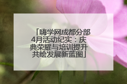 嗨学网成都分部4月活动纪实：庆典荣耀与培训提升共绘发展新蓝图