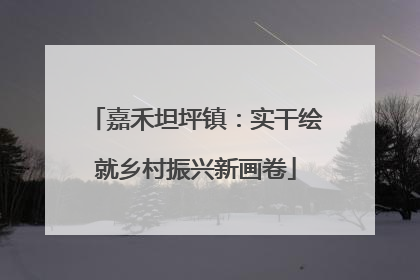 嘉禾坦坪镇：实干绘就乡村振兴新画卷