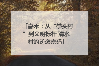 嘉禾：从“拳头村”到文明标杆 清水村的逆袭密码
