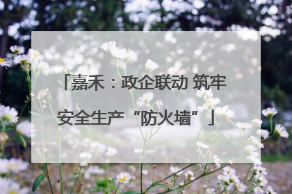 嘉禾：政企联动 筑牢安全生产“防火墙”