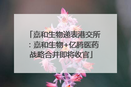 嘉和生物递表港交所：嘉和生物+亿腾医药战略合并即将收官