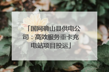 国网确山县供电公司：高效服务重卡充电站项目投运