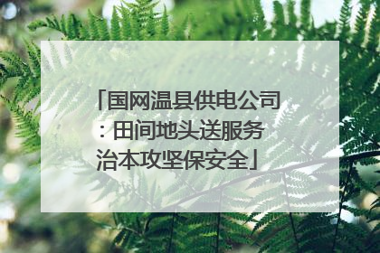 国网温县供电公司：田间地头送服务 治本攻坚保安全