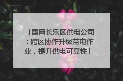 国网长乐区供电公司：跨区协作升级带电作业，提升供电可靠性