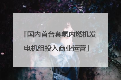 国内首台套氢内燃机发电机组投入商业运营