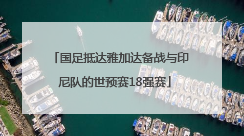 国足抵达雅加达备战与印尼队的世预赛18强赛