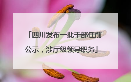 四川发布一批干部任前公示，涉厅级领导职务