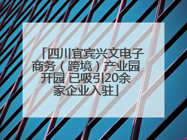 四川宜宾兴文电子商务（跨境）产业园开园 已吸引20余家企业入驻