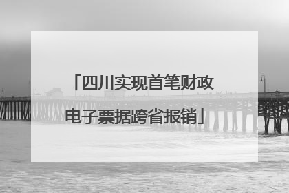 四川实现首笔财政电子票据跨省报销