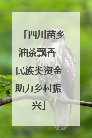 四川苗乡油茶飘香 民族类资金助力乡村振兴