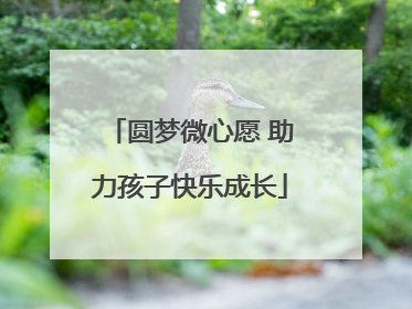 圆梦微心愿 助力孩子快乐成长