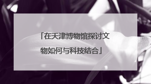 在天津博物馆探讨文物如何与科技结合
