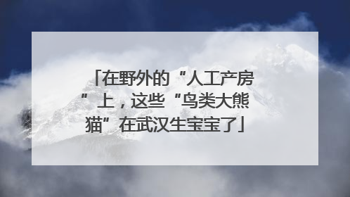 在野外的“人工产房”上，这些“鸟类大熊猫”在武汉生宝宝了