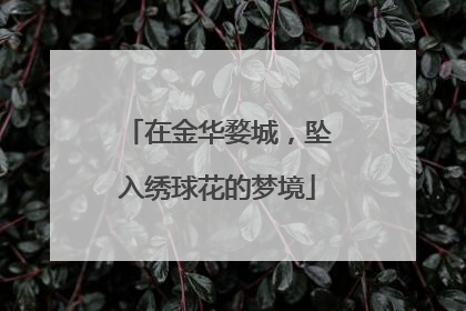 在金华婺城，坠入绣球花的梦境