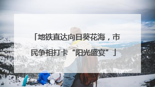 地铁直达向日葵花海，市民争相打卡“阳光盛宴”