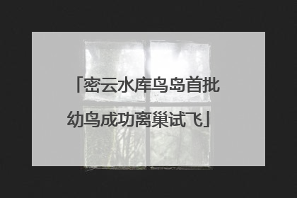 密云水库鸟岛首批幼鸟成功离巢试飞