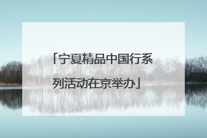 宁夏精品中国行系列活动在京举办