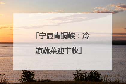 宁夏青铜峡：冷凉蔬菜迎丰收