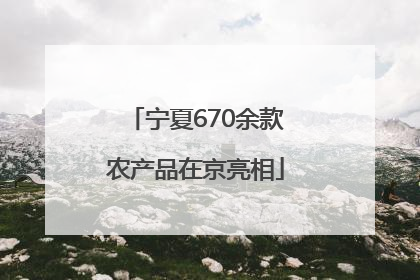 宁夏670余款农产品在京亮相