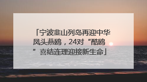 宁波韭山列岛再迎中华凤头燕鸥，24对“酷鸥”喜结连理迎接新生命
