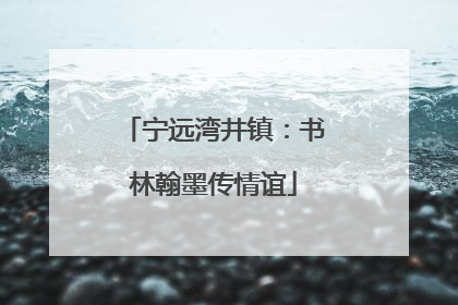 宁远湾井镇：书林翰墨传情谊