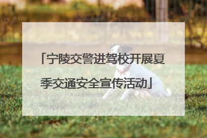 宁陵交警进驾校开展夏季交通安全宣传活动
