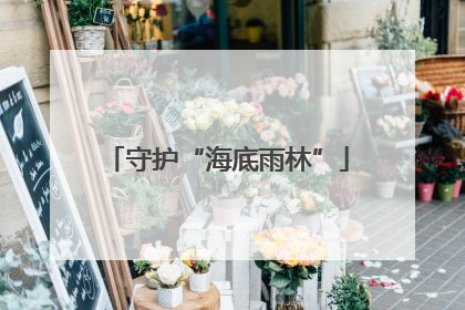 守护“海底雨林”
