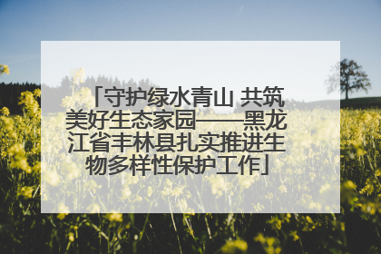守护绿水青山 共筑美好生态家园——黑龙江省丰林县扎实推进生物多样性保护工作