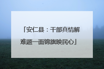 安仁县：干部真情解难题一面锦旗映民心