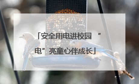 安全用电进校园 “电”亮童心伴成长