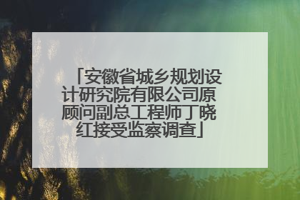 安徽省城乡规划设计研究院有限公司原顾问副总工程师丁晓红接受监察调查