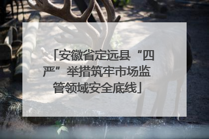 安徽省定远县“四严”举措筑牢市场监管领域安全底线