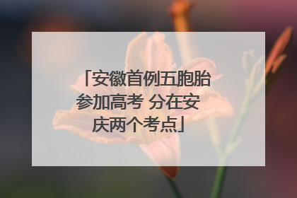 安徽首例五胞胎参加高考 分在安庆两个考点