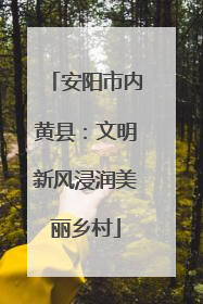 安阳市内黄县：文明新风浸润美丽乡村