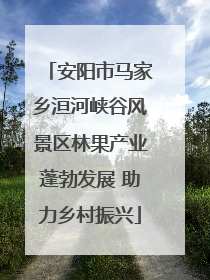 安阳市马家乡洹河峡谷风景区林果产业蓬勃发展 助力乡村振兴