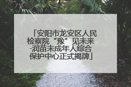 安阳市龙安区人民检察院“豫”见未来·润苗未成年人综合保护中心正式揭牌