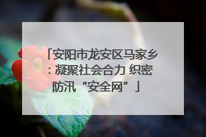 安阳市龙安区马家乡：凝聚社会合力 织密防汛“安全网”