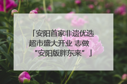 安阳首家非遗优选超市盛大开业 志做“安阳版胖东来”