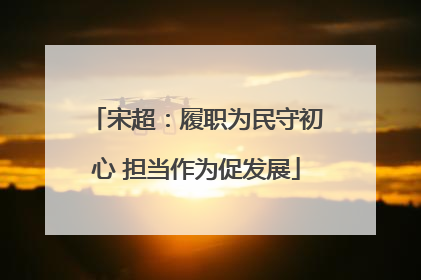 宋超：履职为民守初心 担当作为促发展