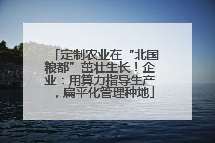 定制农业在“北国粮都”茁壮生长！企业：用算力指导生产，扁平化管理种地