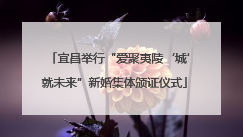 宜昌举行“爱聚夷陵‘城’就未来”新婚集体颁证仪式