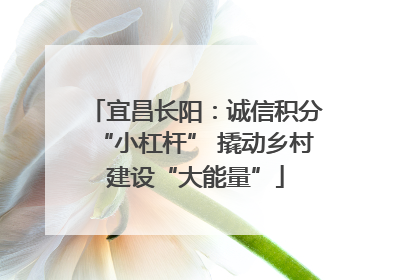宜昌长阳：诚信积分“小杠杆” 撬动乡村建设“大能量”