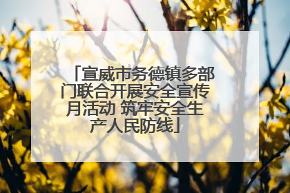 宣威市务德镇多部门联合开展安全宣传月活动 筑牢安全生产人民防线