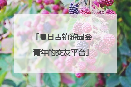 夏日古镇游园会 青年的交友平台