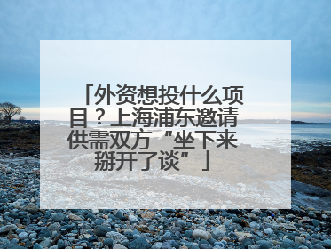 外资想投什么项目？上海浦东邀请供需双方“坐下来掰开了谈”